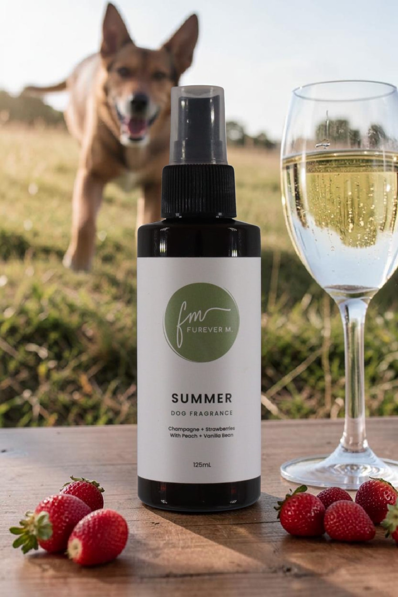 A black spray bottle of the Summer dog cologne with it's white label with the green Furever M logo on it, placed on a wooden table outside, surrounded by various ingredients and a glass of white wine, with a large brown and black dog in the background.
