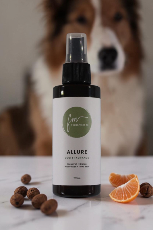 A black spray bottle of the Allure dog cologne with it's white label with the green Furever M logo on it, placed on a white marble countertop surrounded by various ingredients, with a large collie dog in the background.