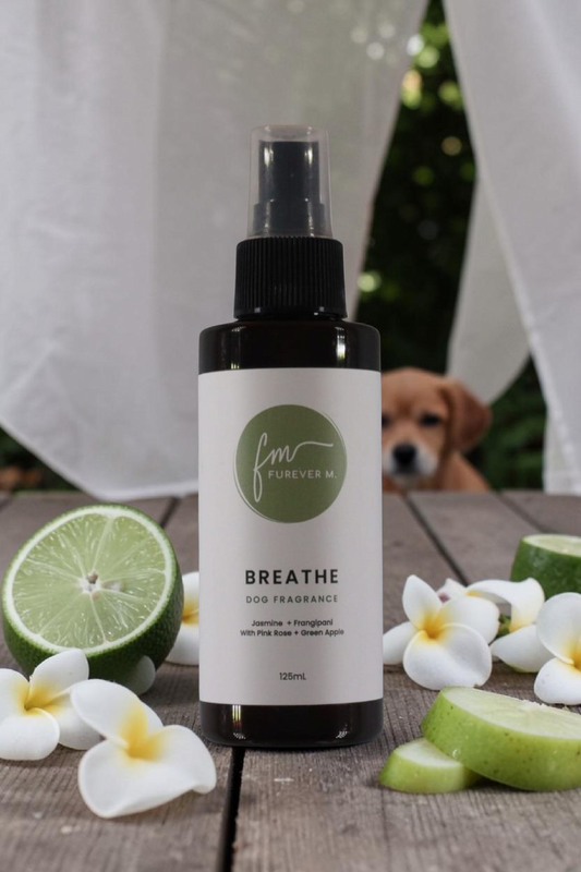 A black spray bottle of the Breathe dog cologne with it's white label with the green Furever M logo on it, placed on a wooden table outside surrounded by various ingredients, with a small brown dog and hanging white sheets in the background.